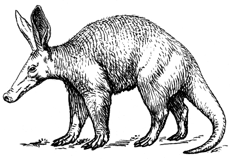 Aardvark2 (PSF).png